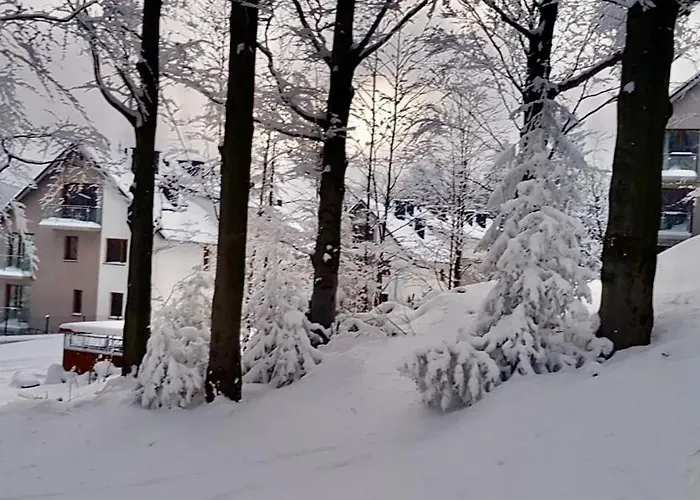 Gold Mountain Apartament *