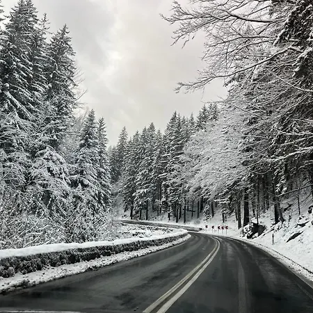 Daire Gold Mountain Szklarska Poreba